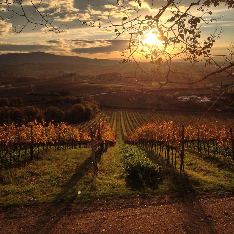 Apartmán Residenza Cornino Castellina in Chianti Exteriér fotografie
